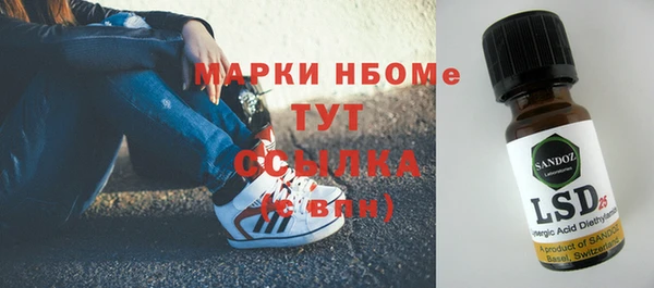 гидра Володарск