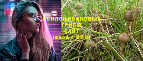 гидра Володарск