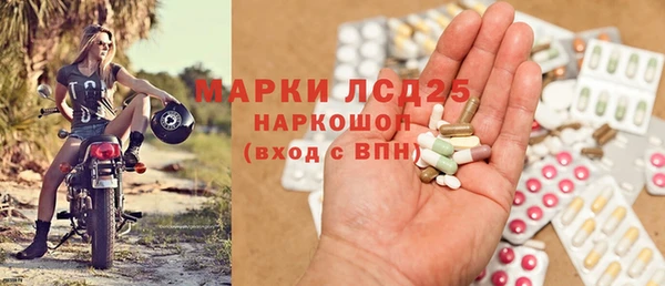 гидра Володарск