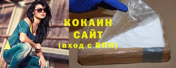 гидра Володарск