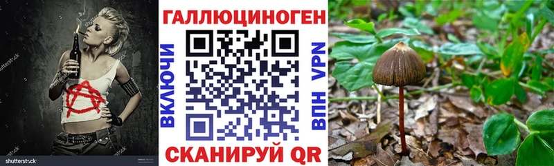 Псилоцибиновые грибы Psilocybe  купить наркотик  Заречный 